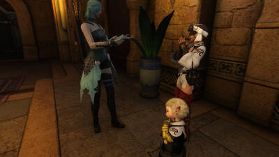 Making Acquaintance
